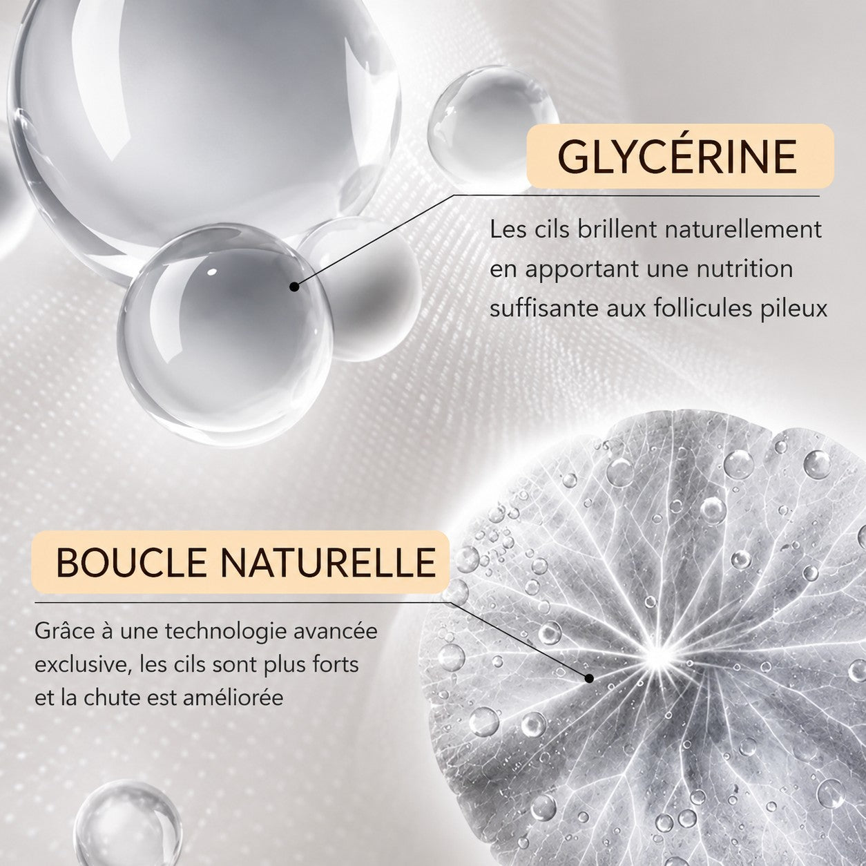 Infographie Lumina Lash expliquant les bienfaits de la glycérine et de la technologie de courbure pour des cils sains.